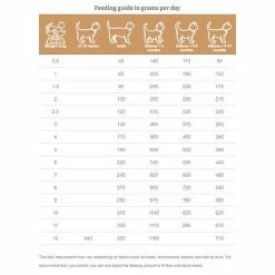 Cat shop -Cat shop 0191b4c0f711f79e8d071cdbb916f256eac9fdafa20f76e5d799d7fbcd0dc321