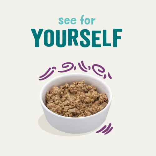 Edgard & Cooper Grain Free Game & Poultry Wet Adult Cat Food 10 Edgard & Cooper Grain Free Game & Poultry Wet Adult Cat Food - Image 8