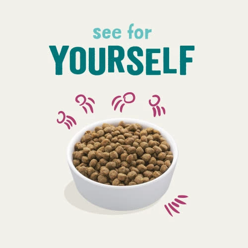 Edgard & Cooper Grain Free Chicken & Whitefish Dry Senior Cat Food - Image 7