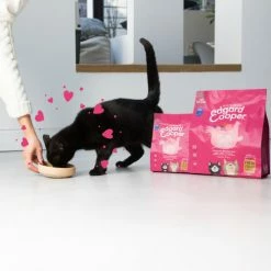 Edgard & Cooper Grain Free Chicken, Duck & Whitefish Dry Kitten Food -Cat shop 04 EdgardCooper ECommContent Lifestyle Cat KittenChickenDry 300g1.75kg nqj6j2