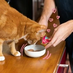 Edgard & Cooper Chicken & Trout Wet Kitten Food -Cat shop 04 EdgardCooper ECommContent Lifestyle Cat KittenChickenTroutWet 85g dyo2ns