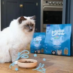 Edgard & Cooper Grain Free Chicken & Whitefish Dry Senior Cat Food -Cat shop 04 EdgardCooper ECommContent Lifestyle Cat SeniorChickenWhitefishDry 300g1.75kg iuf1e0