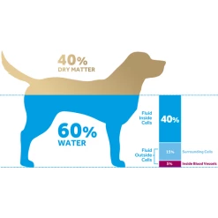 Oralade® Advanced GI+ Oral Rehydration Support Liquid Concentrated Sachets For Dogs And Cats -Cat shop 0a0e86413acd4852ef7b3d03b4e8937f2e23ed0e9164869cb689a659a9761060