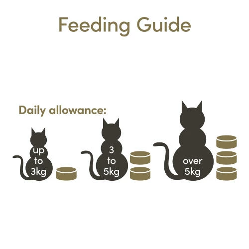 Applaws Natural Tuna Fillet With Prawn In Broth Wet Adult Cat Food 10 Applaws Natural Tuna Fillet With Prawn In Broth Wet Adult Cat Food - Image 8