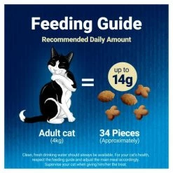 Felix Delicious Treats Salmon Cat Treats -Cat shop 10127686 T64 m1lf51 1