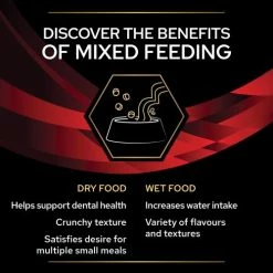 PURINA PRO PLAN VETERINARY DIETS PRO PLAN VETERINARY DIETS Feline DM ST OX Diabetes Management Food -Cat shop 10944883 T67 cnvgqe