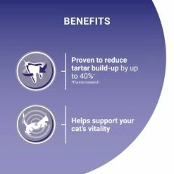 Purina ONE Salmon & Whole Grains Dry Adult Cat Food -Cat shop 10967677 T62 ktgx9t