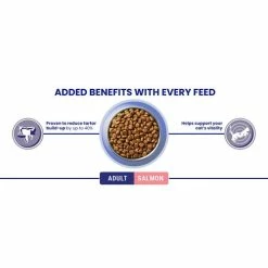 Purina ONE Salmon & Whole Grains Dry Adult Cat Food -Cat shop 10967677 T66 nc8o0m