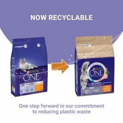 Purina ONE Chicken & Whole Grains Dry Adult Cat Food -Cat shop 10967680 T60 pr858u