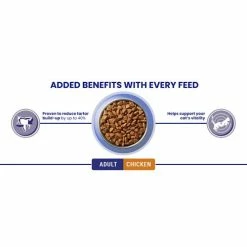 Purina ONE Chicken & Whole Grains Dry Adult Cat Food -Cat shop 10967680 T66 booa5z