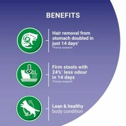 Purina ONE Turkey Indoor Dry Adult Cat Food -Cat shop 10995074 T62 srkpri