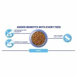 Purina ONE Turkey & Rice Sensitive Dry Adult Cat Food -Cat shop 10996538 T66 waw00u 1