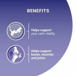 Purina ONE Chicken & Beef Mini Fillets In Gravy Adult Cat Food -Cat shop 10996637 T62 aeaqc9