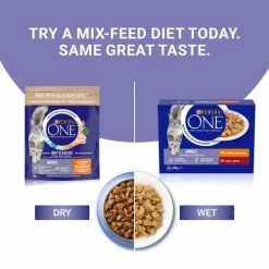 Purina ONE Chicken & Beef Mini Fillets In Gravy Adult Cat Food -Cat shop 10996637 T65 syjhi5