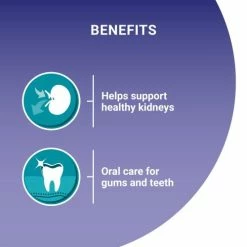 Purina One 7+ Salmon & Ocean Fish Wet Senior Cat Food -Cat shop 10996641 T68 ecqdfk