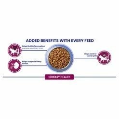 Purina ONE Chicken Urinary Health Dry Adult Cat Food -Cat shop 11001603 T66 eflmj6