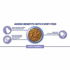 Purina ONE Chicken Coat & Hairball Dry Adult Cat Food -Cat shop 11014687 T66 xqv34q