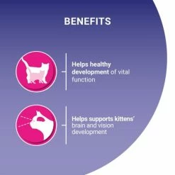 Purina ONE Chicken & Whole Grains Dry Kitten Food -Cat shop 11027467 T62 f3ilhg