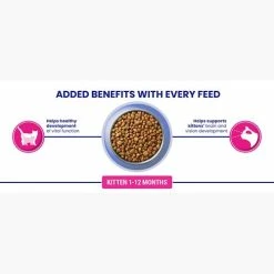 Purina ONE Chicken & Whole Grains Dry Kitten Food -Cat shop 11027467 T66 payma6