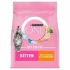 Purina ONE Chicken & Whole Grains Dry Kitten Food -Cat shop 11027467 T819 ng4kml