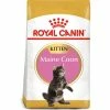 Royal Canin Maine Coon Dry Kitten Cat Food