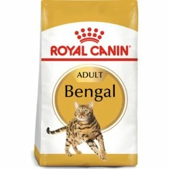 Royal Canin Bengal Dry Adult Cat Food -Cat shop 2608004 r1rfzm