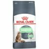 Royal Canin Digestive Care Dry Adult Cat Food -Cat shop 2707004 1 eev4io