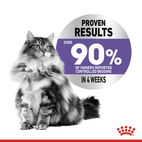 Royal Canin Appetite Control Dry Adult Cat Food 5 Royal Canin Appetite Control Dry Adult Cat Food - Image 3