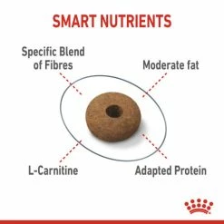 Royal Canin Appetite Control Dry Adult Cat Food 11 Royal Canin Appetite Control Dry Adult Cat Food -Cat shop 2710020 5 n8yxbz