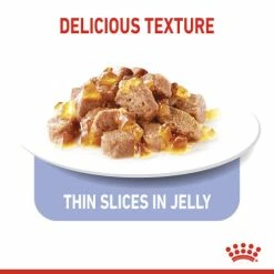 Royal Canin Appetite Control In Jelly Adult Cat Food -Cat shop 2849001 4 eegxgg