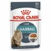 Royal Canin Hairball Care In Gravy Adult Wet Cat Food -Cat shop 2880001 1 xfgi6x