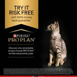 PURINA PRO PLAN PRO PLAN Original Salmon Dry Adult Cat Food 14 PURINA PRO PLAN PRO PLAN Original Salmon Dry Adult Cat Food -Cat shop 29326 PRO PLAN Cat MBG 2023 Econtent Tile v1 OL f44dzd 15