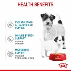 ROYAL CANIN® STARTER Mother & Babydog Wet Dog Food -Cat shop 2a111f877f3f2b58ebf2001d122870e0eb630ec07db14f501febd17617362e9c