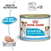 ROYAL CANINĀ® STARTER Mother & Babydog Wet Dog Food 2 ROYAL CANINĀ® STARTER Mother & Babydog Wet Dog Food -Cat shop 3281d560264a4362d3be1245c9b756ea0040d2e47304579430464754c90fe154