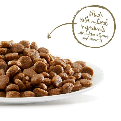 Applaws Complete Chicken & Salmon Grain Free Dry Adult Cat Food 5 Applaws Complete Chicken & Salmon Grain Free Dry Adult Cat Food - Image 3