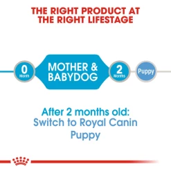 ROYAL CANIN® STARTER Mother & Babydog Wet Dog Food -Cat shop 42aff5479acd0bc1fcbfdf4d2a3de10a8ea2bac0ca5ef56904e9a8f7db76eafb