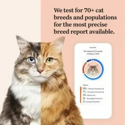 Wisdom Panel Complete Cat DNA Testing Kit -Cat shop 4 Wisdom Panel UK Complete for Cat dtbo1m