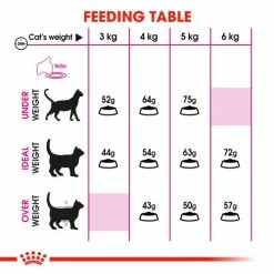 Royal Canin Aroma Exigent Dry Adult Cat Food 12 Royal Canin Aroma Exigent Dry Adult Cat Food -Cat shop 4 dtny21