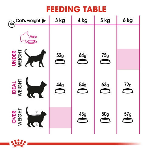 Royal Canin Aroma Exigent Dry Adult Cat Food 7 Royal Canin Aroma Exigent Dry Adult Cat Food - Image 5