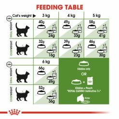 Royal Canin Outdoor 7+ Dry Adult Cat Food -Cat shop 4 durovy