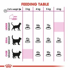 Royal Canin Protein Exigent Dry Adult Cat Food -Cat shop 4 hvgmyf