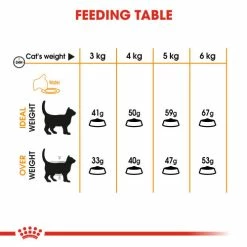 Royal Canin Hair And Skin Care Dry Adult Cat Food -Cat shop 4 jyznkg