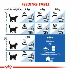Royal Canin Indoor 7+ Adult Senior Dry Cat Food 12 Royal Canin Indoor 7+ Adult Senior Dry Cat Food -Cat shop 4 p2jkxy