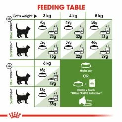 Royal Canin Outdoor Dry Adult Cat Food -Cat shop 4 utatzx