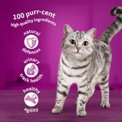 Whiskas 7+ Fish Favourites In Jelly Wet Senior Cat Food -Cat shop 5000166157414 T60 stfuxr