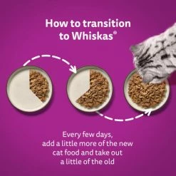 Whiskas 7+ Poultry Feasts In Jelly Wet Senior Cat Food -Cat shop 5000166157445 T65 npcnz5