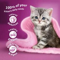 Whiskas Kitten Mixed Menu In Jelly Wet Cat Food 14 Whiskas Kitten Mixed Menu In Jelly Wet Cat Food -Cat shop 5000166157483 T60 tdp6hf