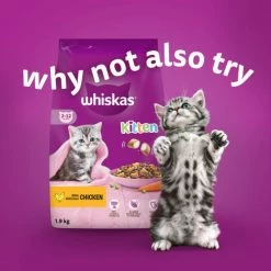 Whiskas Kitten Mixed Menu In Jelly Wet Cat Food 15 Whiskas Kitten Mixed Menu In Jelly Wet Cat Food -Cat shop 5000166157483 T65 gi4eu7