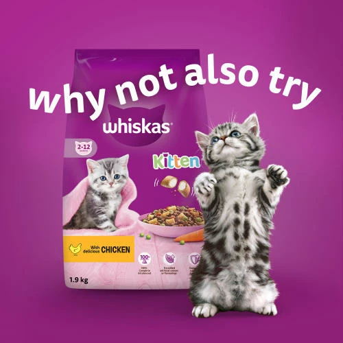 Whiskas Kitten Mixed Menu In Jelly Wet Cat Food 8 Whiskas Kitten Mixed Menu In Jelly Wet Cat Food - Image 6