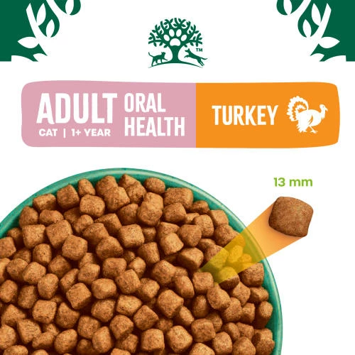 James Wellbeloved Oral Health Turkey Dry Adult Cat Food 6 James Wellbeloved Oral Health Turkey Dry Adult Cat Food - Image 4